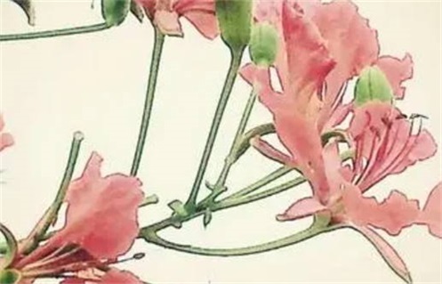 2026年农历腊月十三动土是否合时宜？ 动土算好日子？