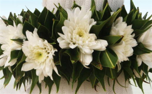 2026年11月27日结婚行吗？ 办喜事能行吗