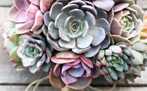 2026年农历三月廿八结婚日子有没有选对？ 今天办喜事行不行