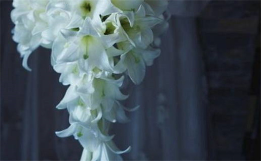 2026年04月05日领证吉利吗？ 登记领证行不行？