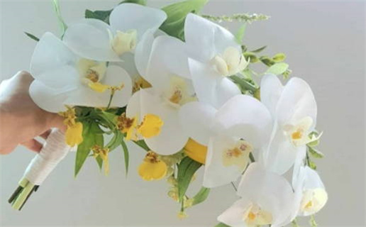 2026年农历正月十二领证符不符合黄道吉日 今天领证结婚怎么样？