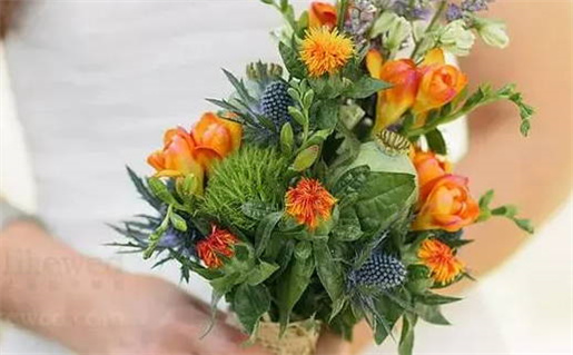 2026年02月03日领证符不符合黄道吉日 今日领证好吗