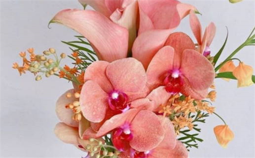 2026年农历腊月十八领证算不算好日子？ 登记领证算不算好日子？