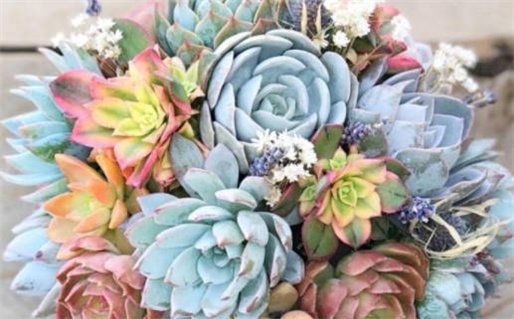 2026年04月17日领证能算好日子吗？ 登记结婚合适吗？