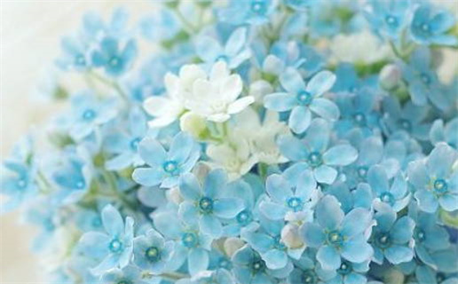 2026年农历腊月十三是否属于乔迁吉日？ 入宅有没有问题？