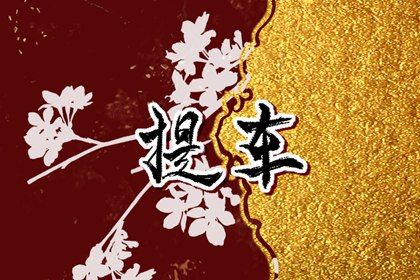 2025年农历五月十七提车是否合时宜？ 今日提新车好吗