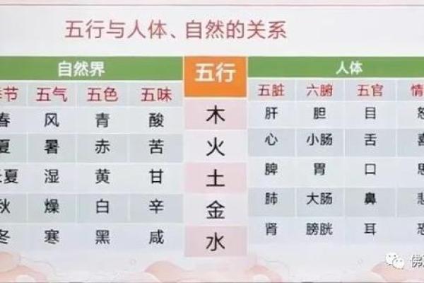 纪字五行格局揭秘：如何解析你的性格解析与命运走向？