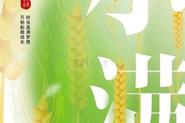 节气变换下的农田管理与收成技巧