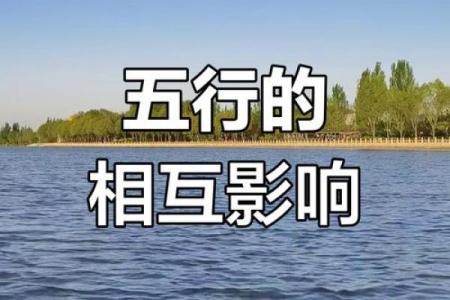 水木五行格局揭秘:颠覆传统性格解析的全新视角