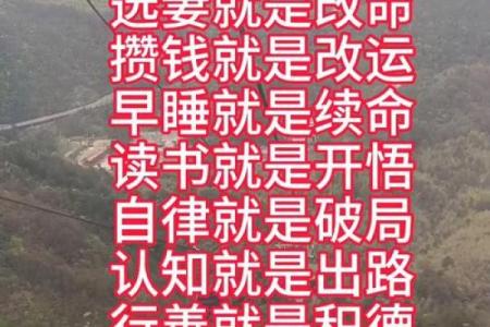 想改变人生?金星命理中的命运密码,解锁成功的关键