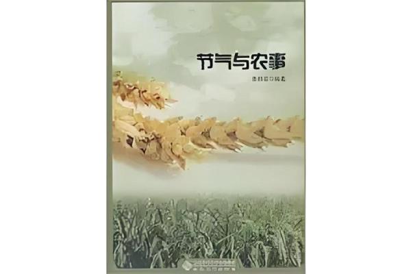 一日的农业节令与现代生活的结合