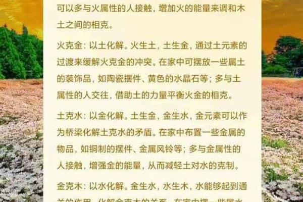 五行格局实用指南：解析你的性格特质，找到最适合你的职业道路