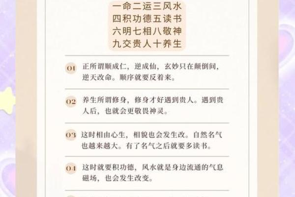 如何改变命运？揭秘菊五行格局与你的性格重塑之路