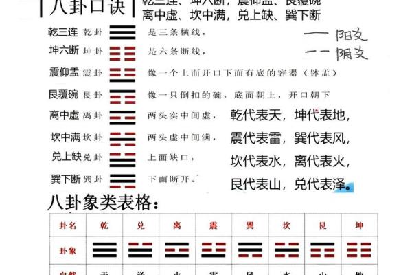 楠字五行格局揭秘：如何通过名字洞悉性格解析？