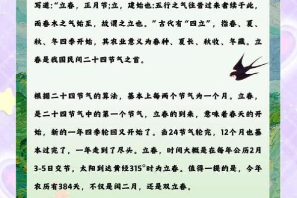 节日大全：如何在文化习俗中感受春天的力量