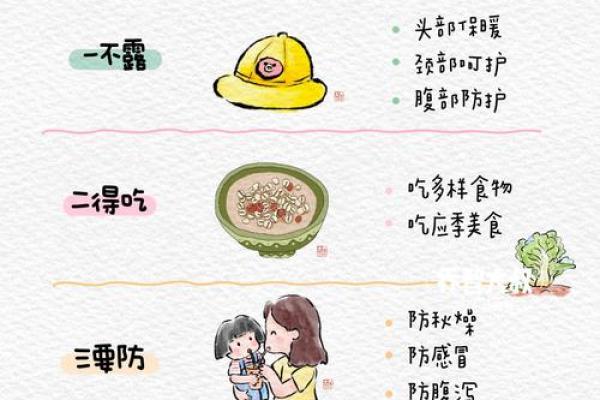 节气与养生：如何根据节令调整饮食与作息