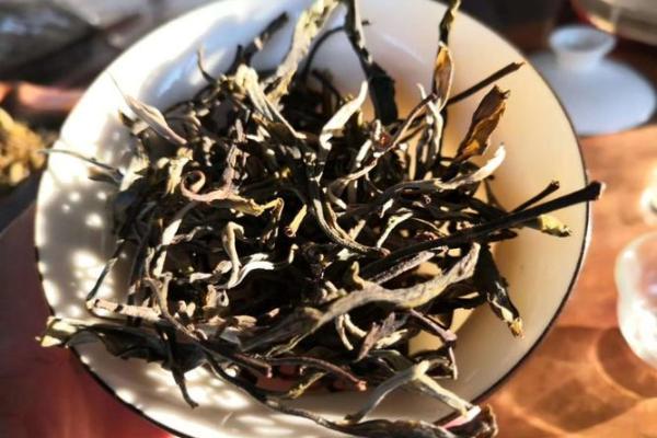 基诺族茶文化节：养生与传统的完美融合
