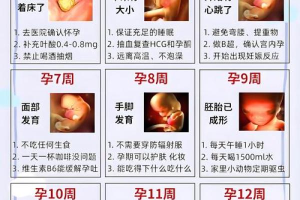 你知道吗？怀孕的时机，竟然与八字命运有这关系