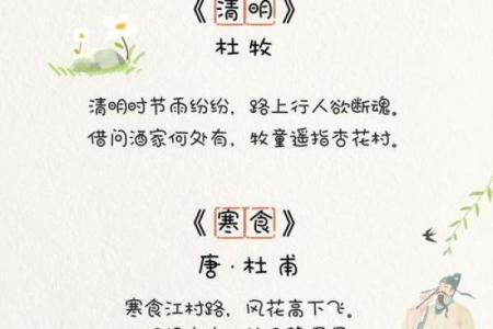 节日大全：如何在文化习俗中感受春天的力量