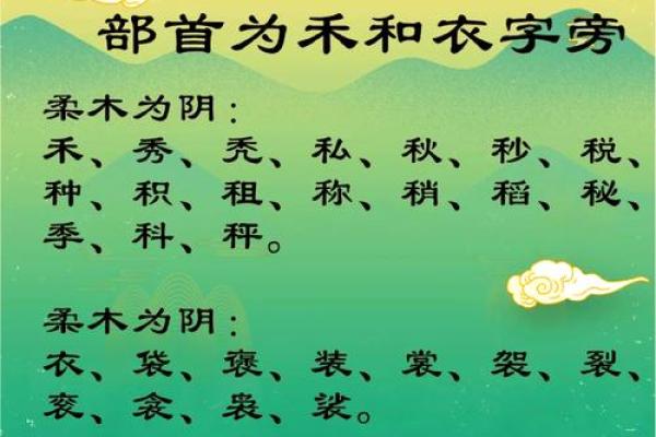 名字五行格局大揭秘：木属性名字反而能助你运势？