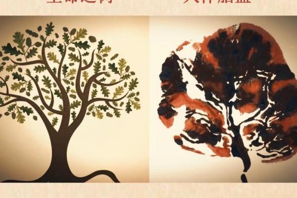 阳历节日：养生与自然的完美融合