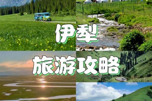 伊犁的草原祭祀与农耕节日的独特魅力