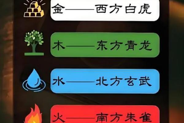 如何改变命运？饶五行格局下的性格重塑之道