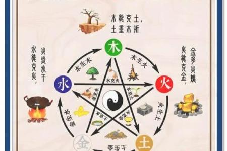 五行性格解析:误区与颠覆传统观念的全新解读