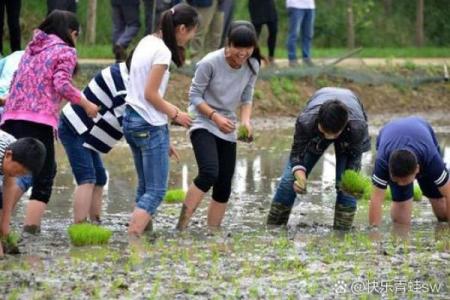 五月是农耕时节，传统节日带你领略农事文化
