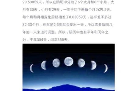 阳历节日：养生与自然的完美融合