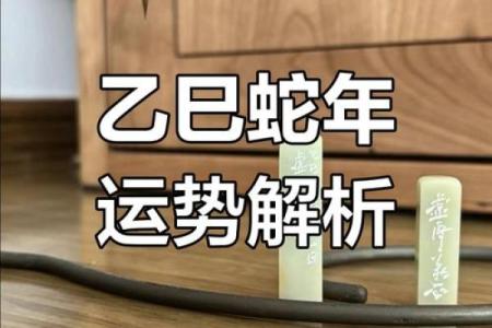 蛇年运势:如何改变你的命运轨迹,摆脱困境?