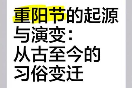 节日习俗：从春秋到现代的文化演变