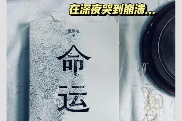 终南命理反思：命运密码的秘密，颠覆你的人生认知！