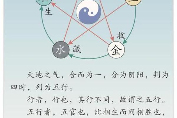 五行误区大揭秘：性格解析反而让你越走越偏？