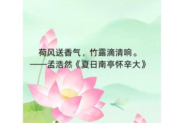 荷花五行格局误区大揭秘：颠覆传统观念，你真的懂了吗？