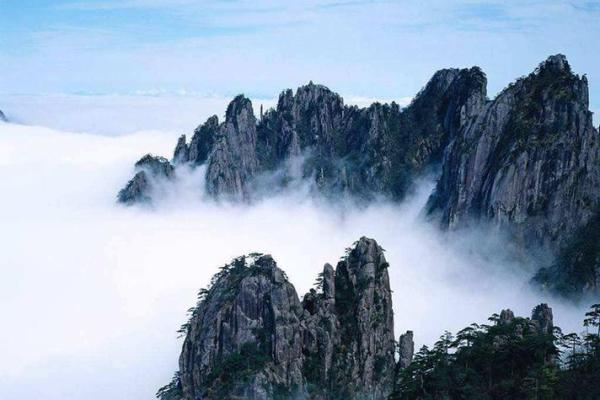 荷花五行格局误区大揭秘：颠覆传统观念，你真的懂了吗？