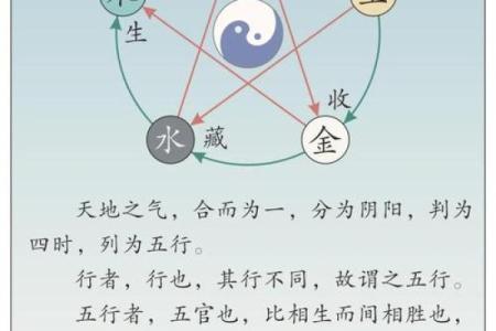 五行误区大揭秘：性格解析反而让你越走越偏？