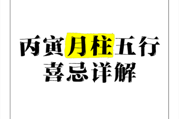 丙寅年五行格局重塑指南：揭秘性格密码，让你生活更精彩