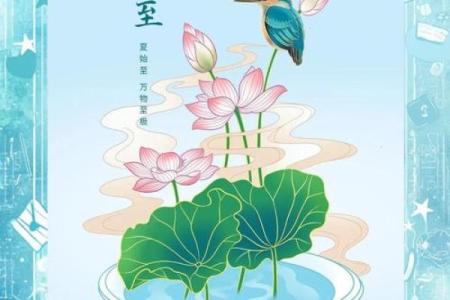 夏至的天文与文化交织：节气与习俗的深刻联系