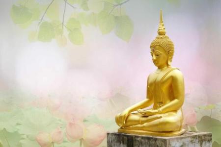 长白毛命理揭秘：如何改变命运的关键步骤？