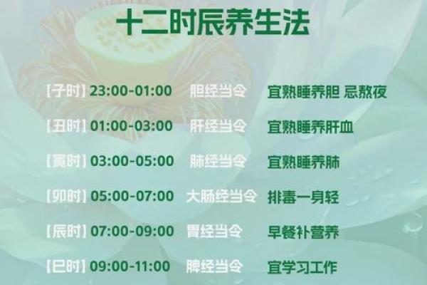 五月的养生智慧：顺应季节调整饮食与作息