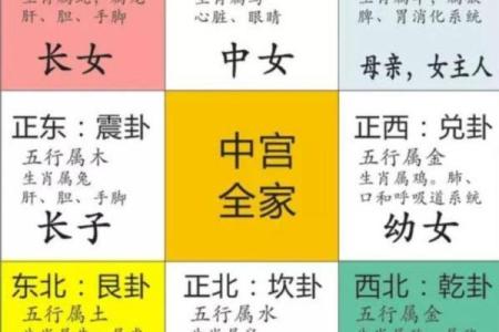 五行格局揭秘：如何通过性格解析找到事业方向