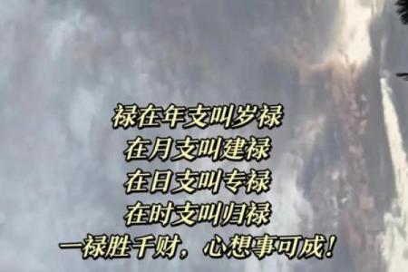 揭开八字命理的神秘面纱：误区与玄机背后隐藏的改变密码