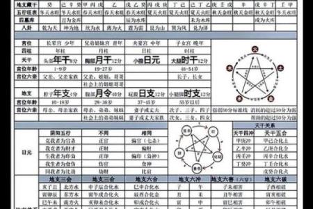 高考命运密码：如何破解暗藏玄机，逆袭成功？