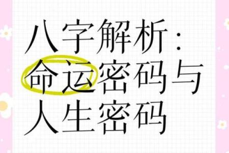 林国雄命理揭示命运密码:如何破解人生的深层玄机