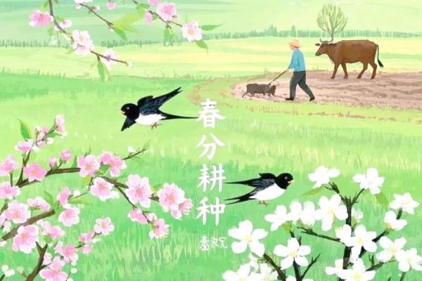 农耕历史中的重要时刻与风俗传承
