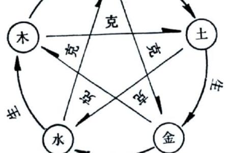 五行性格解析：破解你的五行格局，解锁潜能之道