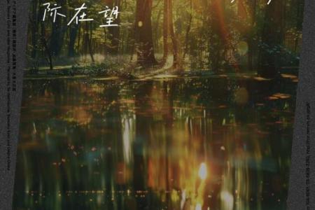 天文之下的节日诗篇：探索星空与节庆的连接