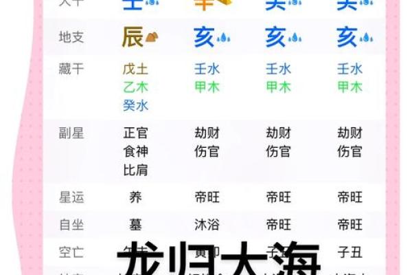 白龙命理揭秘：命运密码背后的深层玄机