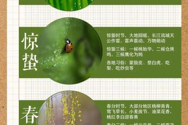 农耕与节气：解读中国传统节日的时令密码